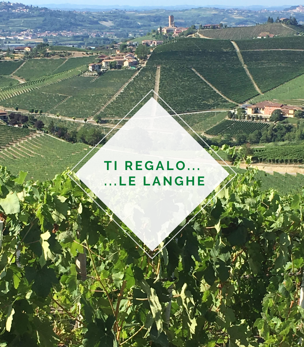A PRESENT FOR YOU...THE LANGHE
