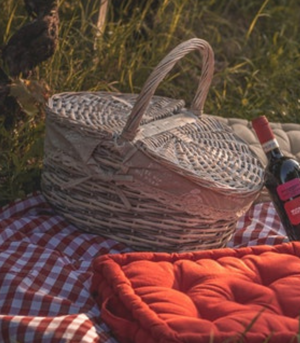 GOURMET PIC NIC IN THE MONFERRATO VINEYARDS