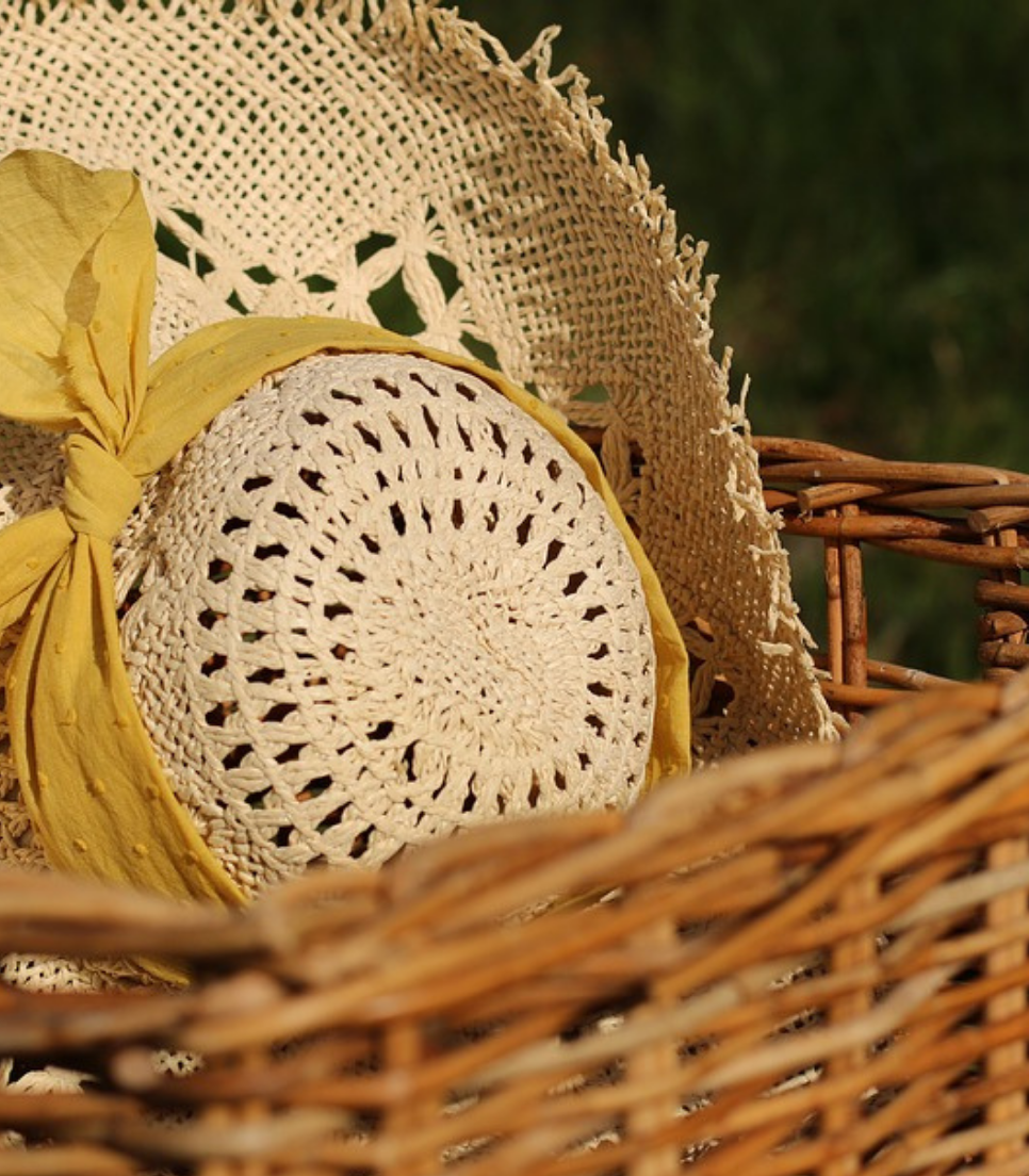 PIC NIC TRA I VIGNETI NELLE LANGHE DEL BARBARESCO