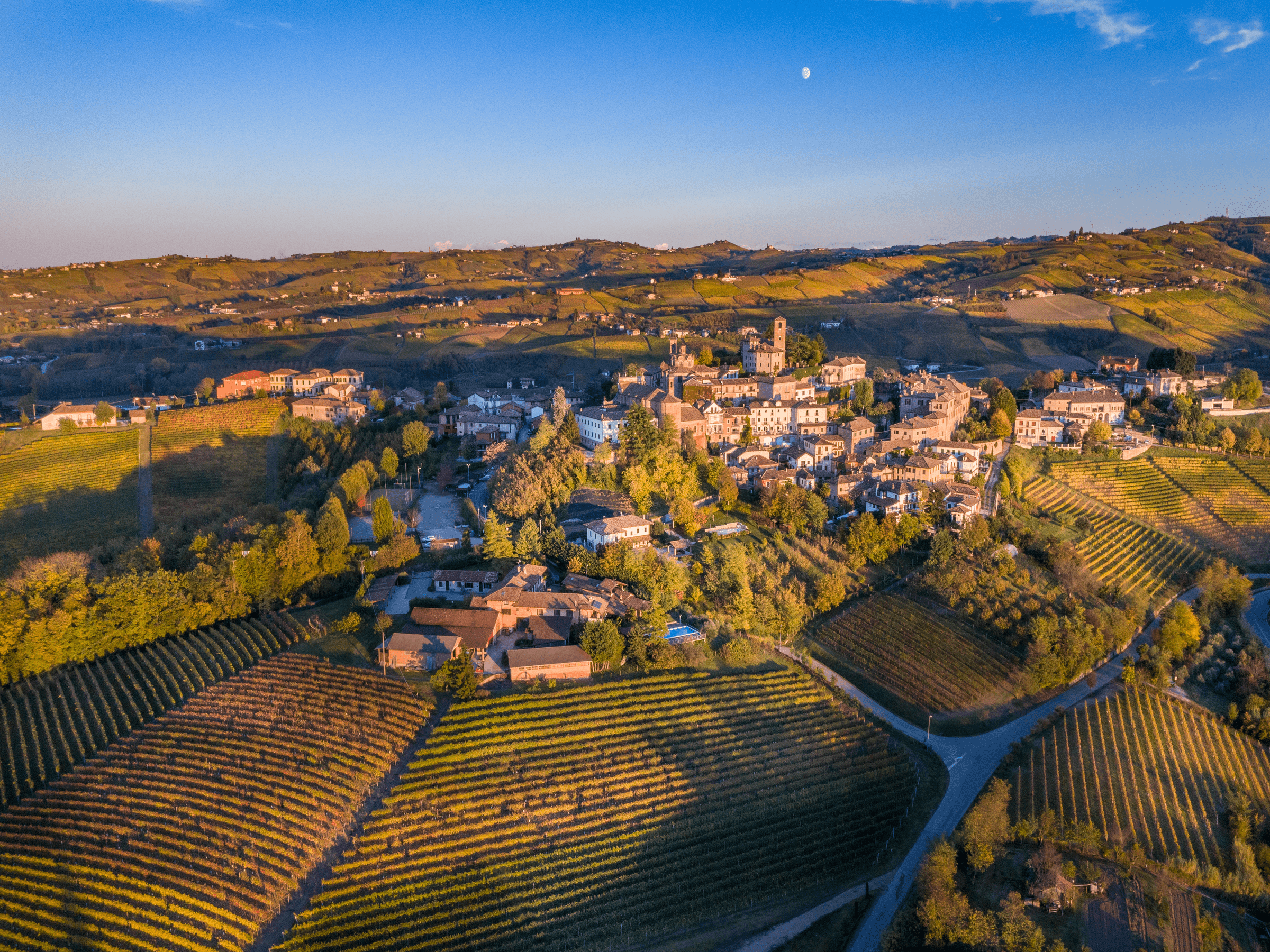 Destiny Piemonte IncomingPiemonte.com