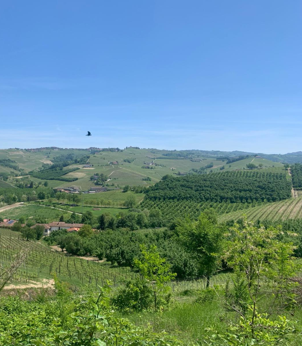 E-BIKE TOUR IN THE LANGHE BARBARESCO AREA