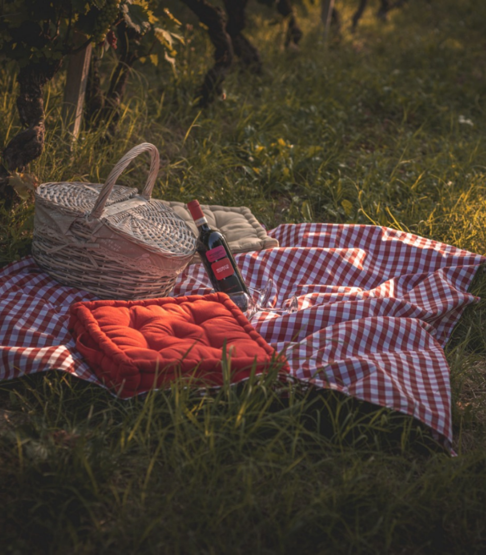 SNACK IN VINEYARD