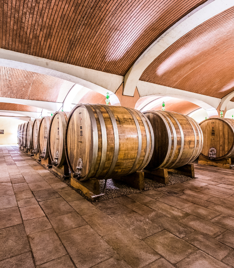 DEGUSTAZIONE LANGHE DEL BAROLO