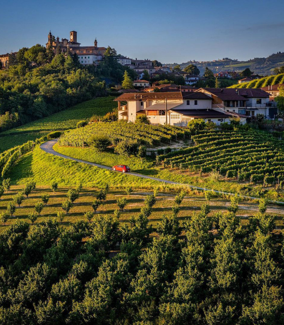 WINE TASTING ON TERRACE