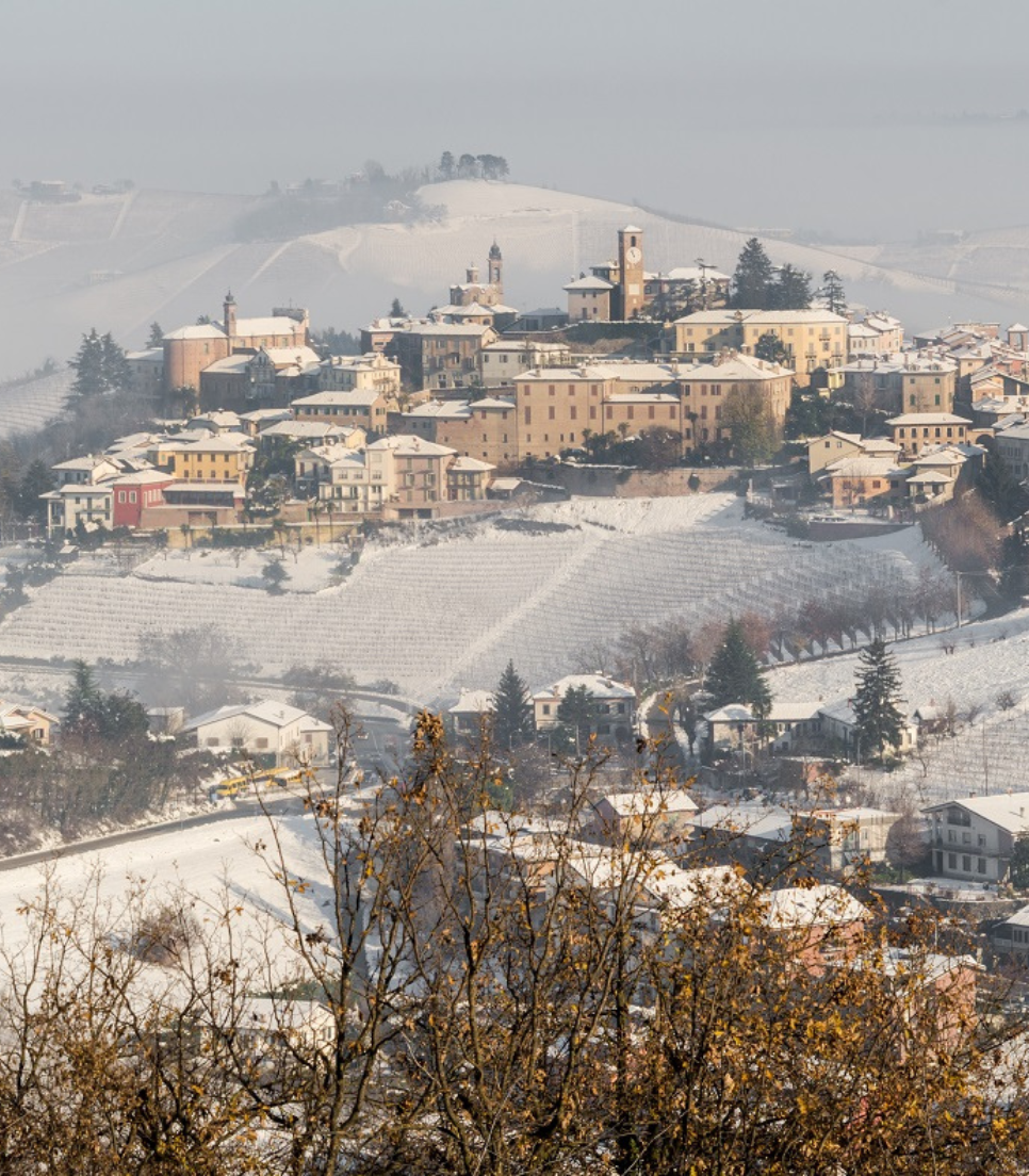 CAPODANNO TRA BARBARESCO E BAROLO