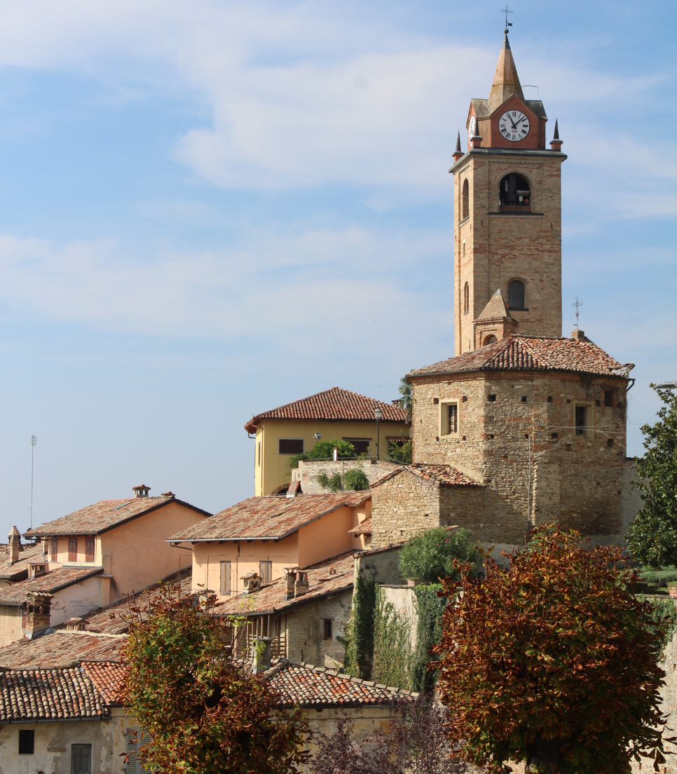 PASSEGGIANDO PER MONFORTE