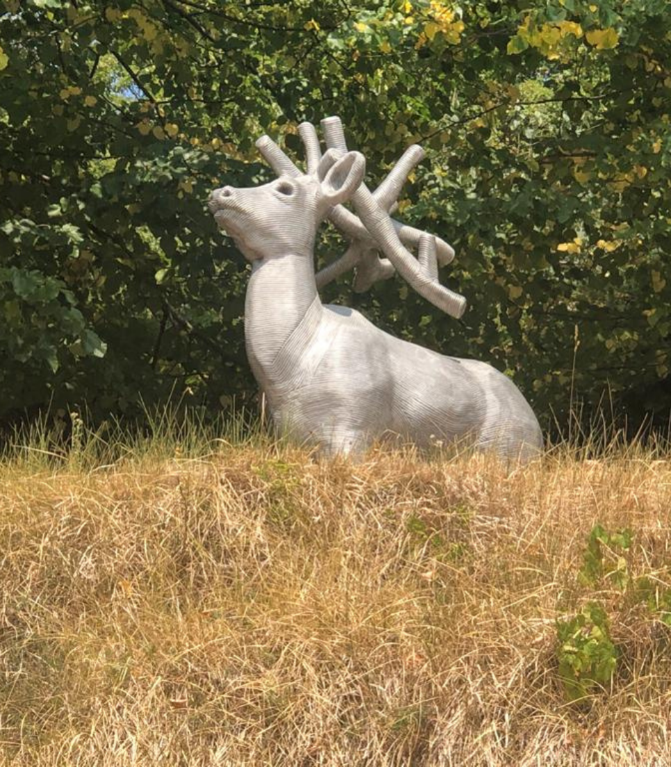 PASSEGGIANDO NEL PARCO D'ARTE