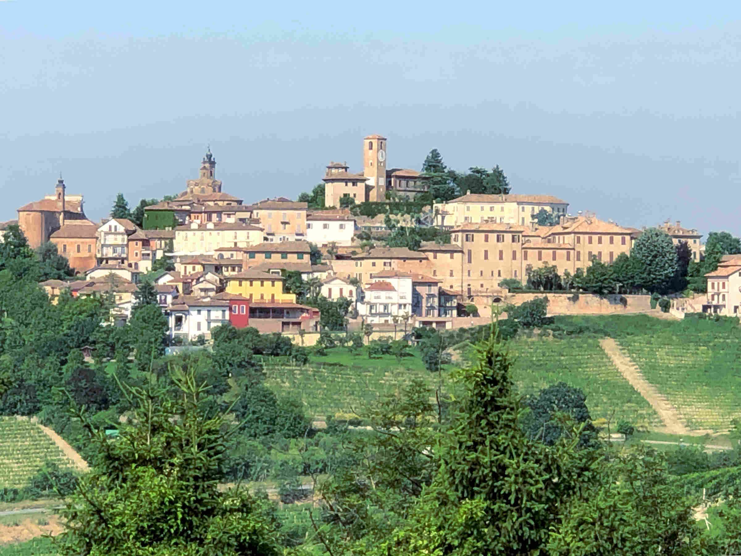 ALBA AND BARBARESCO AREA