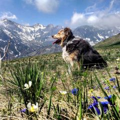 VALLE GRANA, LAND OF PASTURES AND CASTELMAGNO