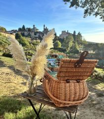 NEIVE ROMANTICA - TOUR IN APE CALESSINO TRA LE LANGHE CON BRINDISI O PICNIC